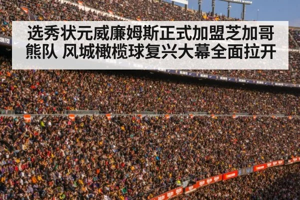 football stadium crowd